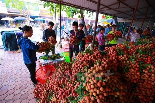 越南农产品对欧盟出口空间广阔