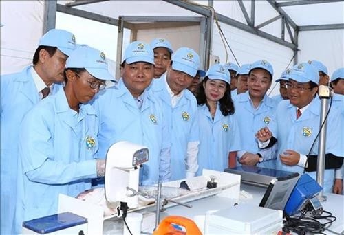 越南政府总理阮春福走访考察安江省高科技查鱼种苗生产基地