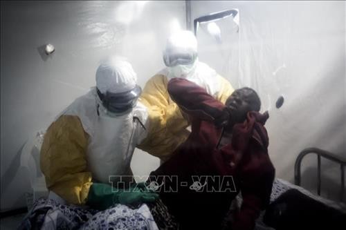 Phát hiện "lá chắn" chống virus Ebola trong tế bào người