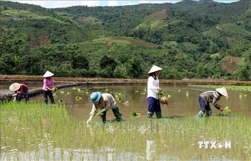 Kinh tế Lào Cai phát triển bền vững