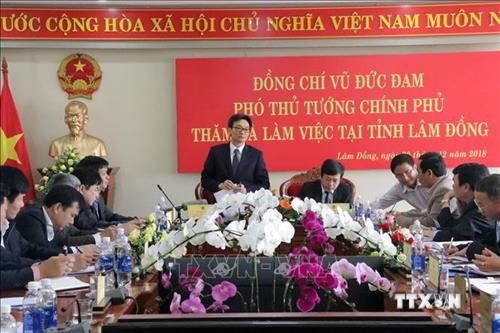 越南政府副总理武德儋一行深入林同省进行考察