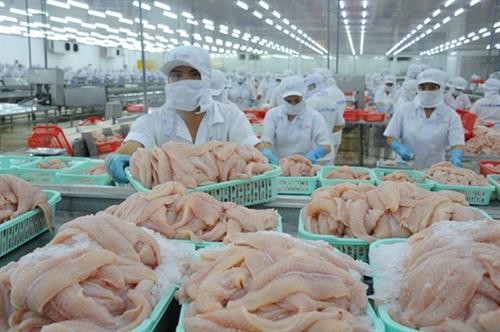美国取代中国香港成为进口越南查鱼的最大市场