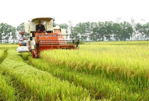 Quảng Trị hỗ trợ nông dân sản xuất thích ứng biến đổi khí hậu