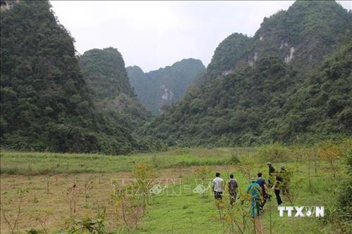  Giao khoán bảo vệ rừng đã mang lại hiệu quả ở Lạng Sơn