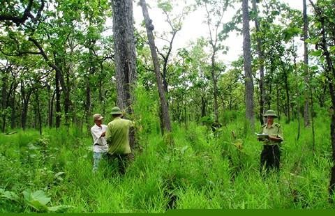 Cải thiện đời sống người dân thông qua hình thức nhận khoán quản lý, bảo vệ rừng ở Kon Tum