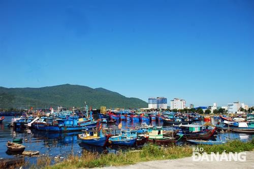 岘港市着力促进海洋经济发展