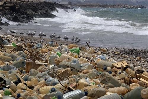 Rác thải nhựa làm ô nhiễm những tầng sâu nhất của đại dương