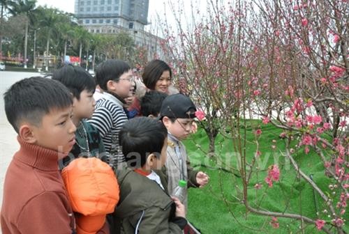 Lễ hội Hoa đào Xứ Lạng lần đầu được tổ chức mừng Xuân Mậu Tuất 2018