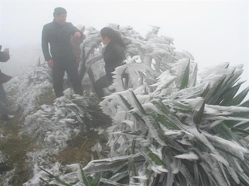 下雪天气 母山旅游景区游客量猛增