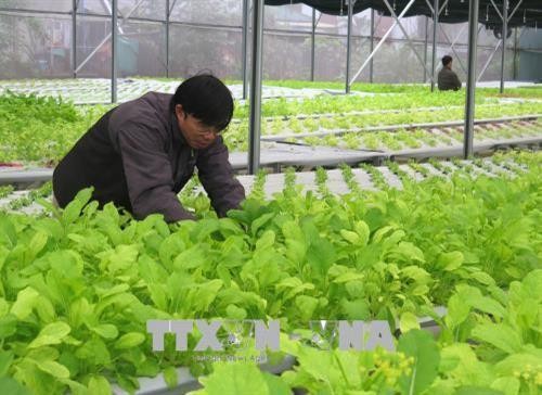 广治省投入1600多亿越盾发展高科技农业
