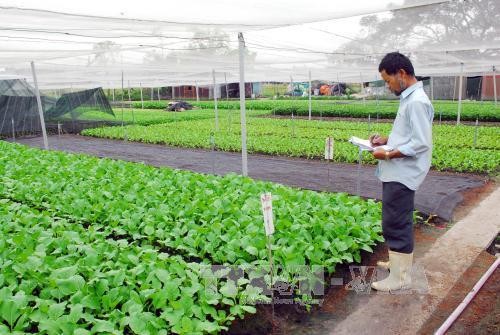 Nông nghiệp hữu cơ: Thực trạng và định hướng phát triển (Bài 2)