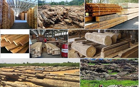 2018年木材和木制品的出口情况