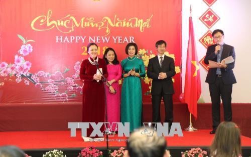 旅居世界各国越南人纷纷举行迎新春活动