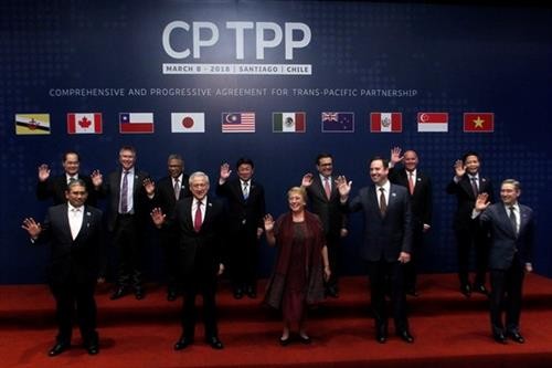 越南驻智利大使：CPTPP将为越智经贸与投资合作注入强劲动力