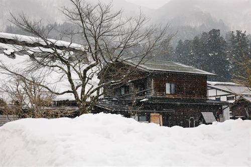 Hình ảnh tuyệt đẹp về làng cổ Shirakawago trong mùa đông