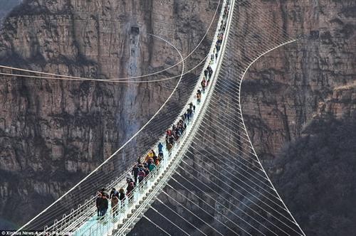 Cầu treo đáy kính dài nhất thế giới có thể chịu trọng tải tối đa 2000 người