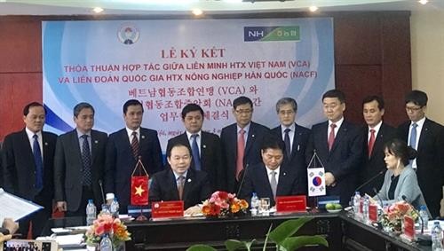 Việt Nam và Hàn Quốc ký thỏa thuận hợp tác phát triển hợp tác xã
