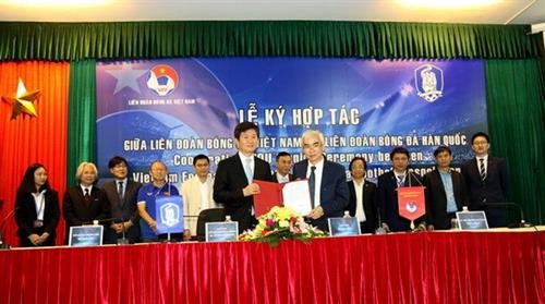 韩国足球协会主席：越南有望成为世界足球强国