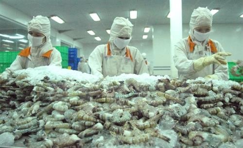 展开落实到2025年越南虾产业发展行动计划