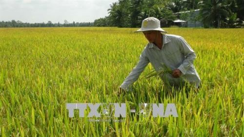 Cán bộ đoàn Nguyễn Quốc Phong lan tỏa tinh thần năng động trong thanh niên nông thôn