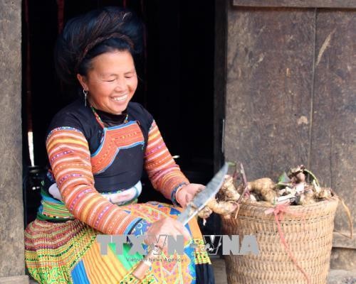 Phụ nữ vùng cao Bắc Yên chung tay phát triển kinh tế