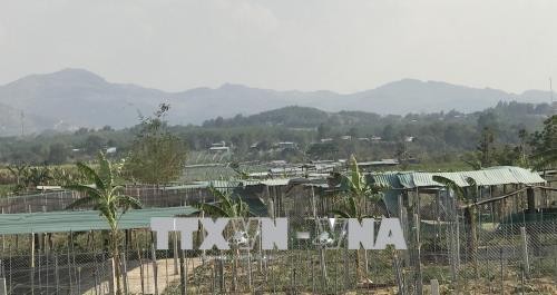 Kiên quyết xử lý các trường hợp sai phạm ​dựng lều trại nhằm trục lợi dự án tại Kon Tum