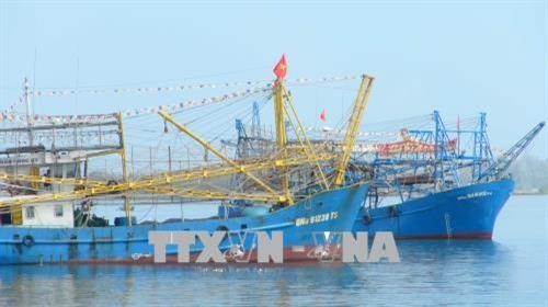 Quảng Nam tạo điều kiện để ngư dân làm giàu từ biển