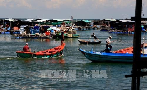 Kiên Giang phát triển nuôi trồng thủy sản vùng ven biển đảo