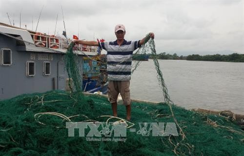 Bình Thuận không cho phép đóng mới tàu cá làm nghề giã cào từ ngày 20/3