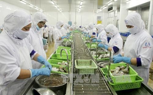 Triển khai kế hoạch hành động phát triển ngành tôm Việt Nam đến năm 2025