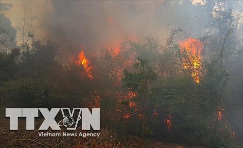 Các tỉnh Tây Nguyên tăng cường phòng chống cháy rừng trong những tháng cao điểm khô hanh