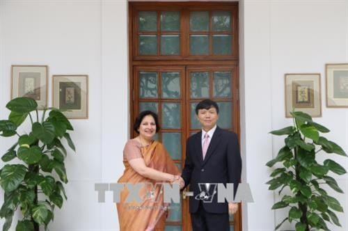 越南与印度第十次政治磋商和第七次战略对话在新德里举行