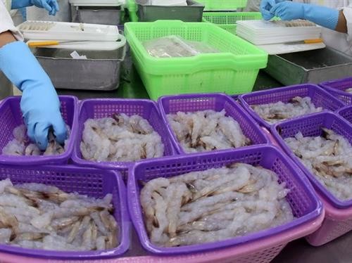 欧盟--越南虾类产品的最大出口市场