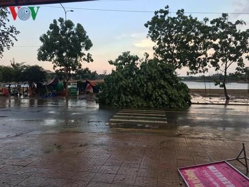 Đắk Lắk mưa lớn kèm lốc xoáy làm hơn 100 nhà dân bị tốc mái