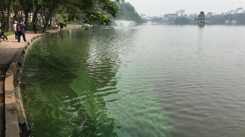河内市在还剑湖重放绿藻