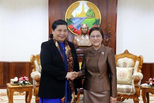越南国会与老挝国会加强合作