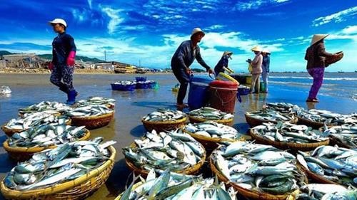 2018年越南水产捕捞量力争达330万吨