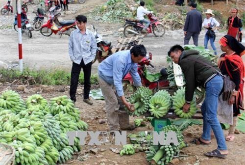 Hiệu quả từ mô hình kết nghĩa thôn bản biên giới Việt-Trung ở Lai Châu
