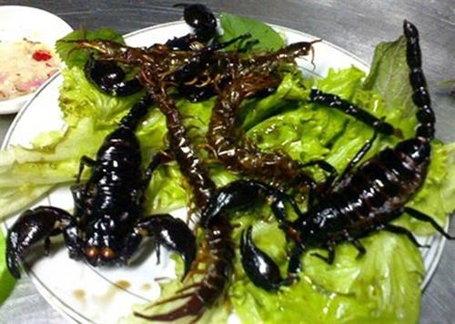 Run rẩy nếm thử món bọ cạp Bảy Núi ngon trứ danh ở An Giang