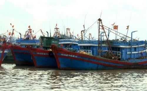越南与中国举行海上低敏感领域合作专家工作组第十一轮磋商