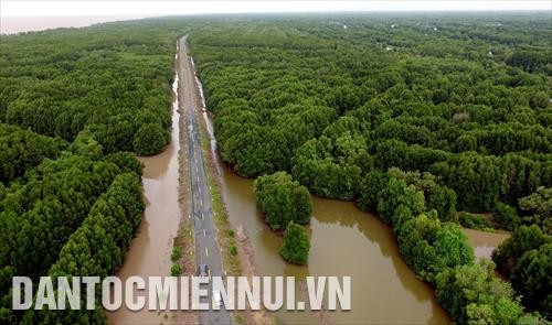 Tháng 6/2018, hoàn thành đường Hồ Chí Minh đoạn Năm Căn - Đất Mũi