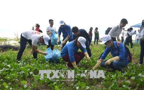近500名青年团员参加绿色越南海洋运动