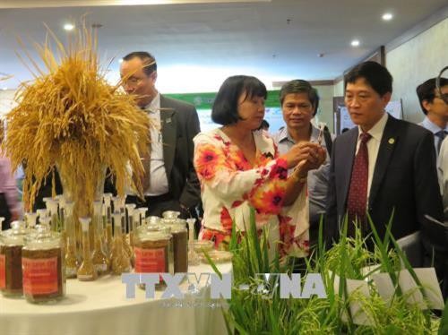 2018年湄公农业技术和渔业论坛在芹苴举行
