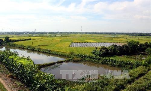 Điều chỉnh quy hoạch sử dụng đất Hà Nội, Hải Phòng và Lâm Đồng