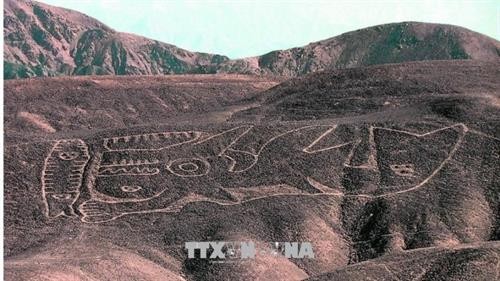 Phát hiện hơn 20 hình vẽ khổng lồ trên sa mạc của Peru