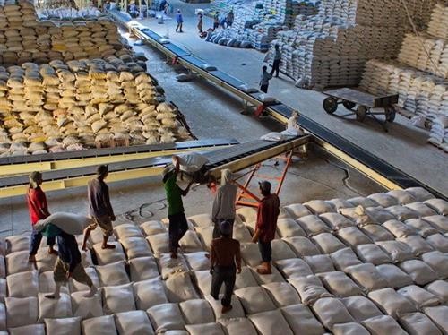 优质大米在越南大米出口结构中占据81%