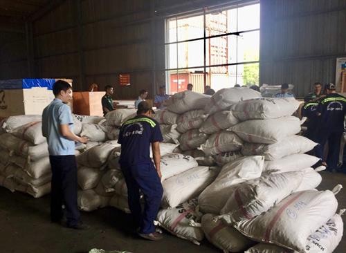 胡志明市海关局继续缴获非法进口的3.3吨穿山甲鳞片