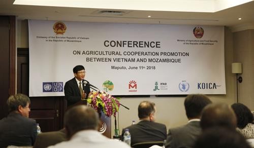 莫桑比克高度评价与越南的农业合作效果
