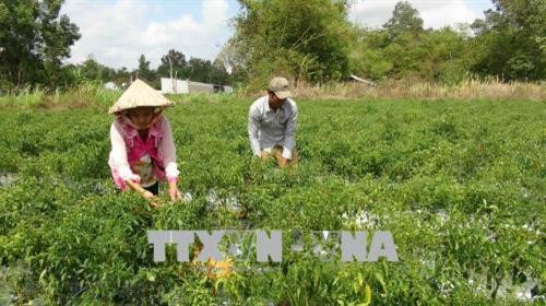 Điều chỉnh quy hoạch sử dụng đất 2 tỉnh Thừa Thiên Huế và Trà Vinh