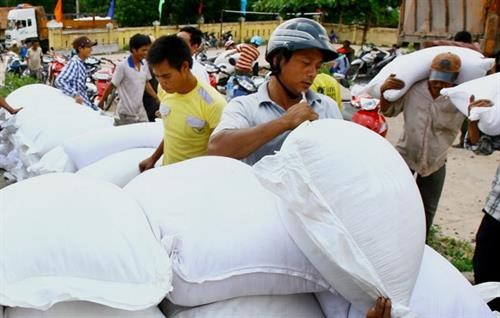 越南政府副总理决定向崑嵩省发放大米